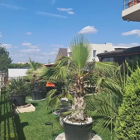 Casa Andu 3*