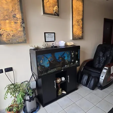 Casa Andu 3*