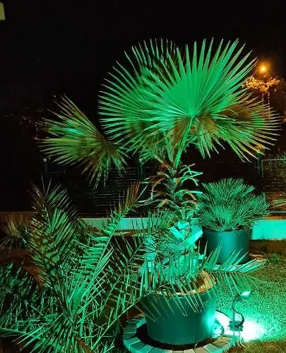 게스트하우스 Casa Andu 3*