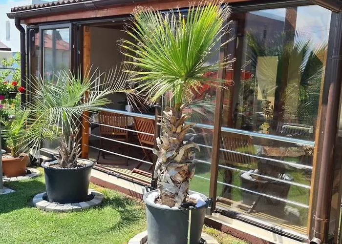 Casa Andu 게스트하우스 데포리노드