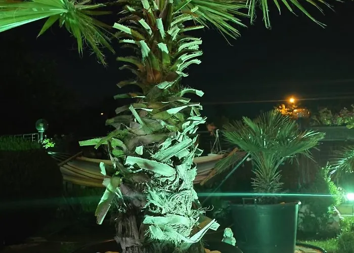 Casa Andu 게스트하우스 3*