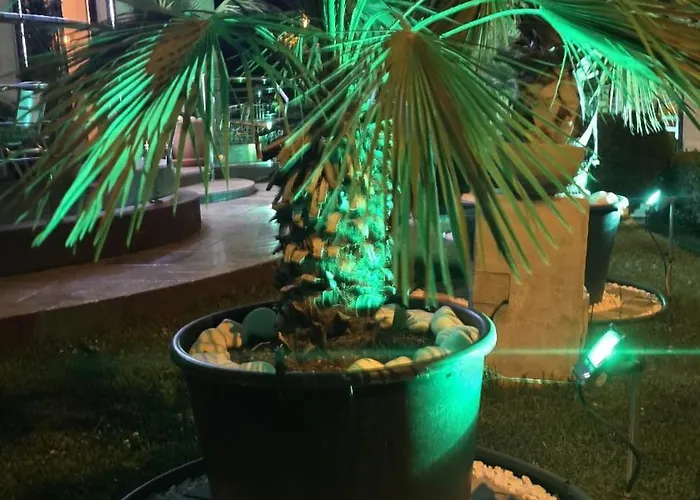 게스트하우스 Casa Andu 3*