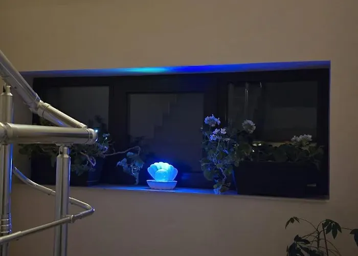 Casa Andu 게스트하우스 3*