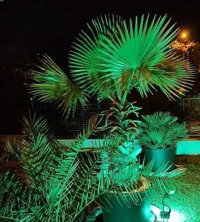Guest house Casa Andu 3*