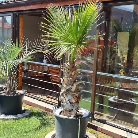 Casa Andu Guest house Eforie Nord