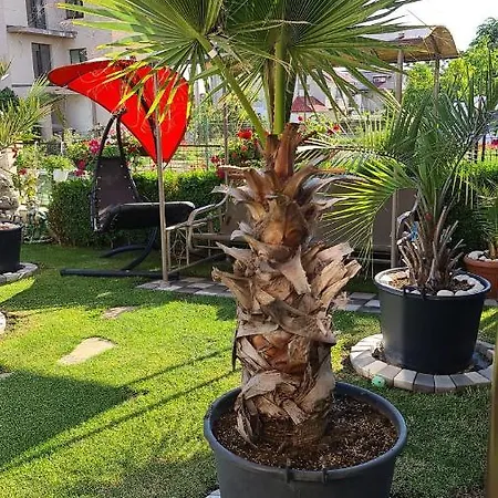 Casa Andu Eforie Nord