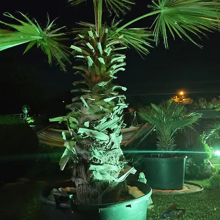 Casa Andu Pensión 3*