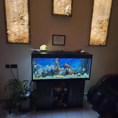 Casa Andu