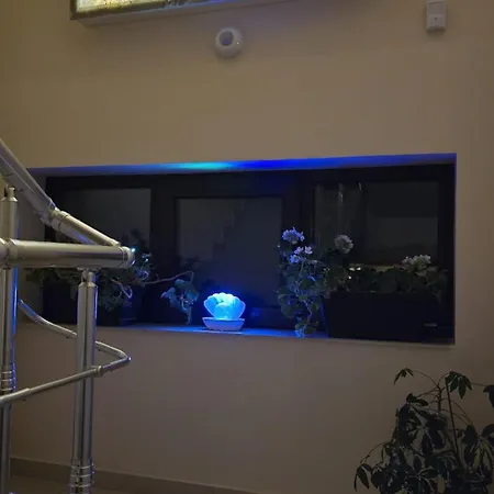 Casa Andu Pensión 3*